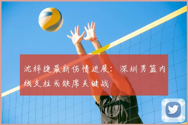 沈梓捷最新伤情进展：深圳男篮内线支柱或缺席关键战