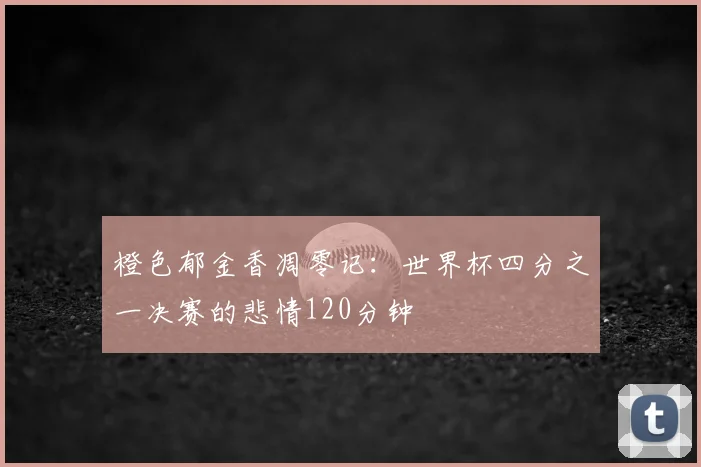 橙色郁金香凋零记：世界杯四分之一决赛的悲情120分钟