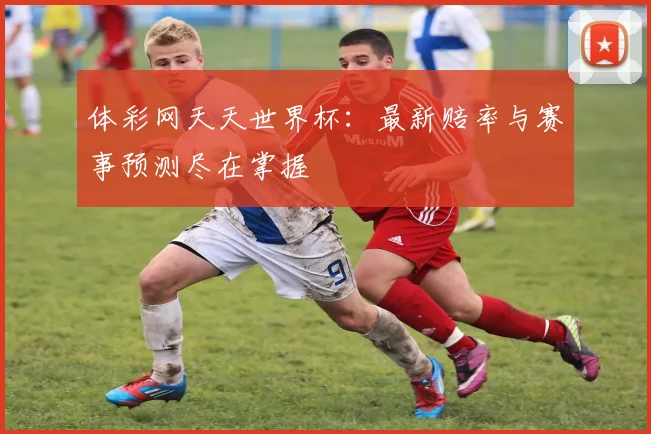 体彩网天天世界杯：最新赔率与赛事预测尽在掌握