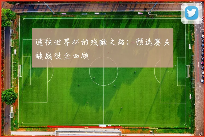 通往世界杯的残酷之路：预选赛关键战役全回顾