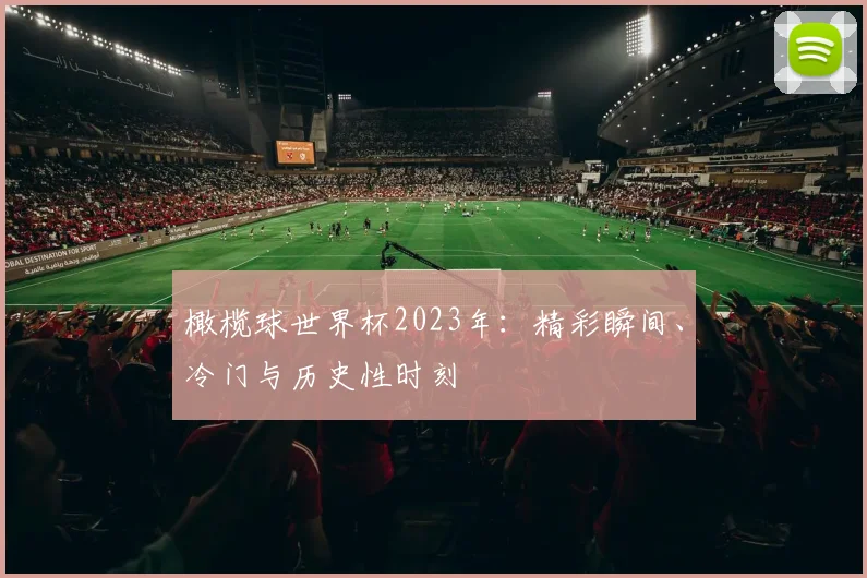 橄榄球世界杯2023年：精彩瞬间、冷门与历史性时刻