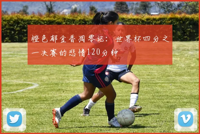橙色郁金香凋零记：世界杯四分之一决赛的悲情120分钟
