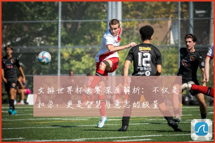 女排世界杯决赛深度解析：不仅是扣杀，更是智慧与意志的较量