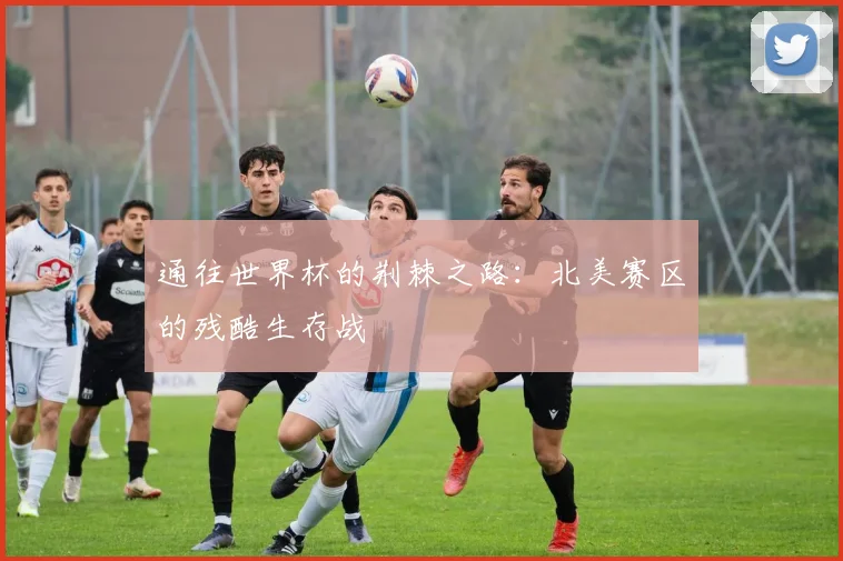 通往世界杯的荆棘之路：北美赛区的残酷生存战