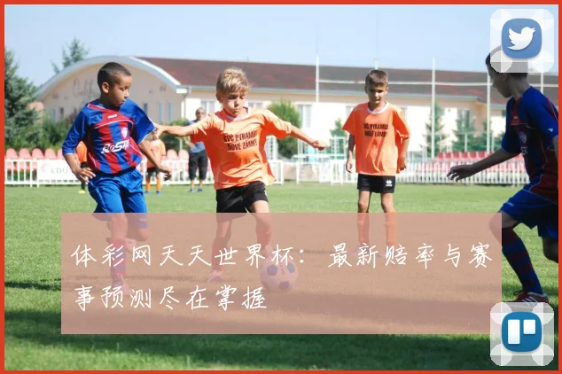 体彩网天天世界杯：最新赔率与赛事预测尽在掌握